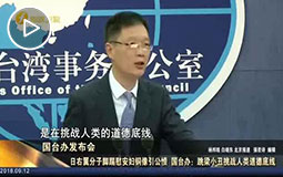 PC端視頻圖片模板.日右翼分子腳踹慰安婦銅像引公憤-國(guó)臺(tái)辦:跳梁小丑jpg.jpg