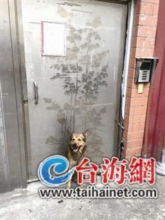 Єȫ_Ȯ]¾ͺ(D)